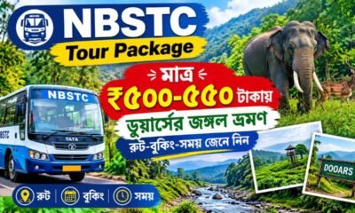 NBSTC Tour Package: মাত্র ₹৫০০-৫৫০ টাকায় ডুয়ার্সের জঙ্গল ভ্রমণ, রুট-বুকিং-সময় জেনে নিন